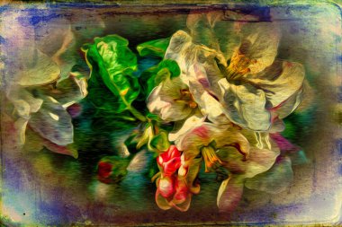 Vintage çiçek sanat illüstrasyon