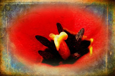 Vintage çiçek sanat illüstrasyon