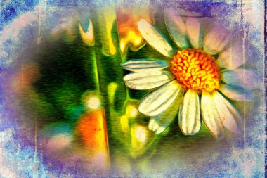 Vintage çiçek sanat illüstrasyon