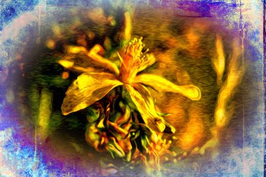 Vintage çiçek sanat illüstrasyon