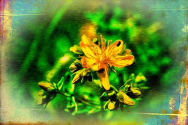 Vintage çiçek sanat illüstrasyon