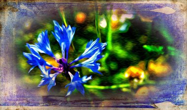 Vintage çiçek sanat illüstrasyon