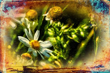 Vintage çiçek sanat illüstrasyon