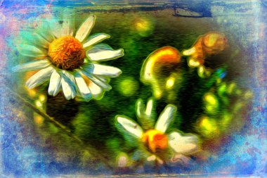 Vintage çiçek sanat illüstrasyon