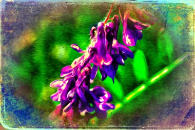 Vintage çiçek sanat illüstrasyon