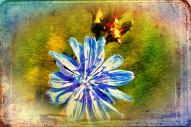 Vintage çiçek sanat illüstrasyon