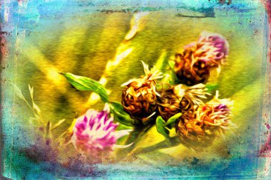 Vintage çiçek sanat illüstrasyon