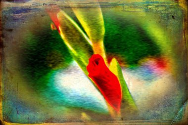 Vintage çiçek sanat illüstrasyon