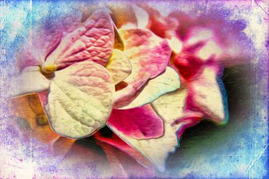 Vintage çiçek sanat illüstrasyon