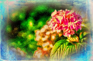 Vintage çiçek sanat illüstrasyon