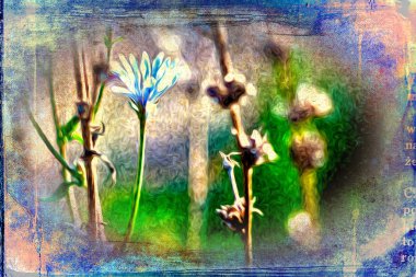 Vintage çiçek sanat illüstrasyon