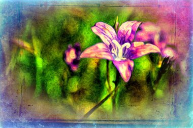 Vintage çiçek sanat illüstrasyon