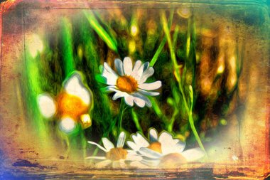 Vintage çiçek sanat illüstrasyon