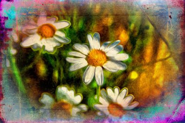 Vintage çiçek sanat illüstrasyon