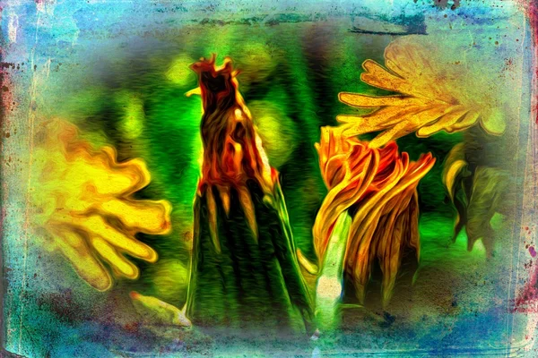 Vintage çiçek sanat illüstrasyon