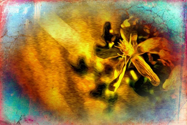 Vintage çiçek sanat illüstrasyon