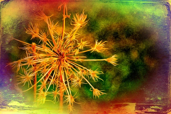 빈티지 꽃 예술 그림 — 스톡 사진