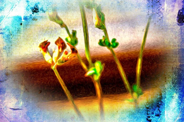 Ilustracja kwiat Vintage — Zdjęcie stockowe