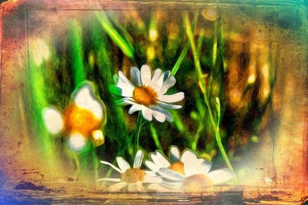 Vintage çiçek sanat illüstrasyon