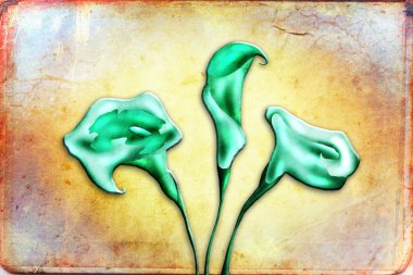 Vintage çiçek sanat illüstrasyon