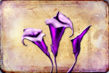 Vintage çiçek sanat illüstrasyon