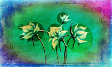 Vintage çiçek sanat illüstrasyon