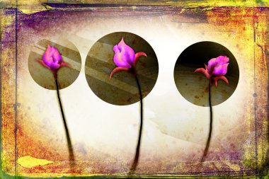 Vintage çiçek sanat illüstrasyon