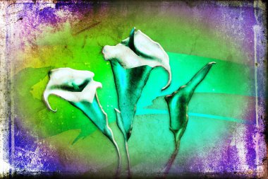 Vintage çiçek sanat illüstrasyon