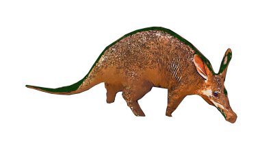 Beyaz arka plan üzerinde izole karınca yiyen