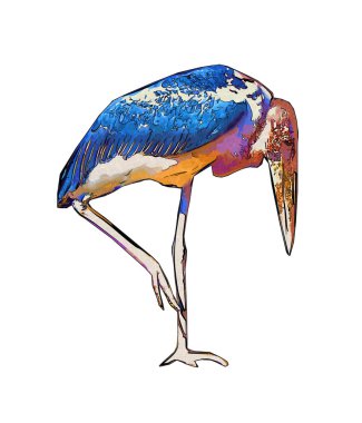 Beyaz arkaplanda izole edilmiş pelikan