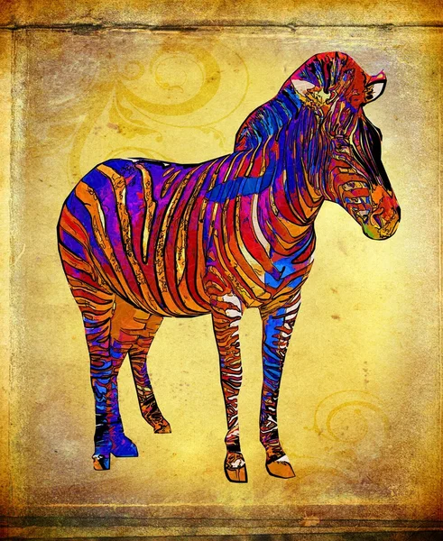 Zebra vintage sztuka ilustracji — Zdjęcie stockowe