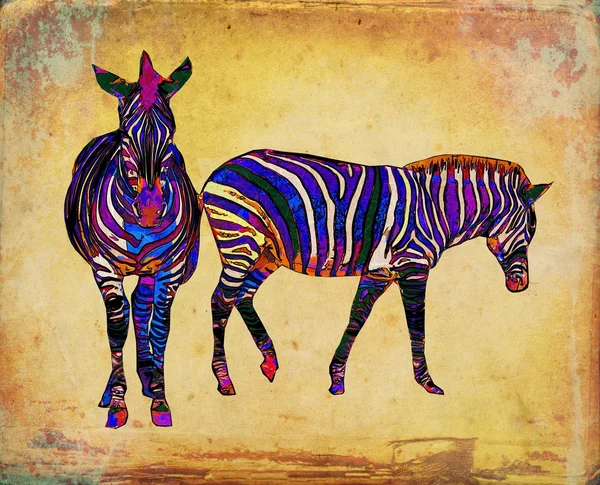 Zebra ilustração de arte vintage — Fotografia de Stock