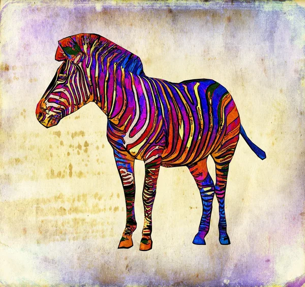 Zebra ilustração de arte vintage — Fotografia de Stock