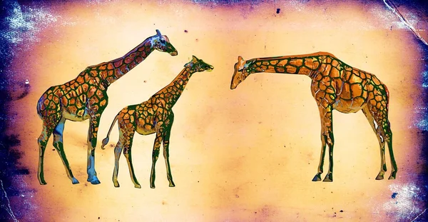 Ilustración de arte vintage jirafa — Foto de Stock