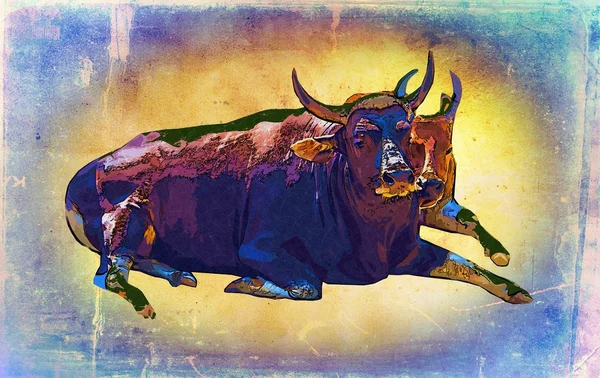 Buffalo vintage arte ilustração — Fotografia de Stock