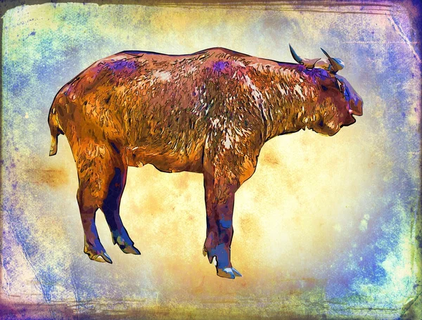 Buffalo vintage arte ilustração — Fotografia de Stock