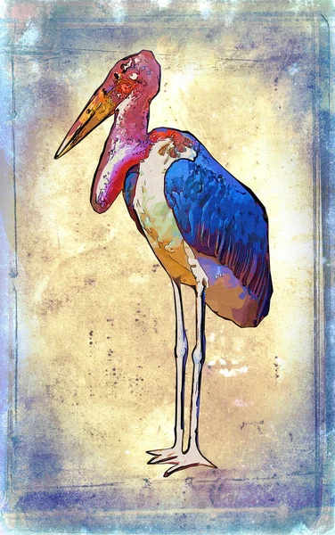 Pelican ilustración de arte vintage —  Fotos de Stock