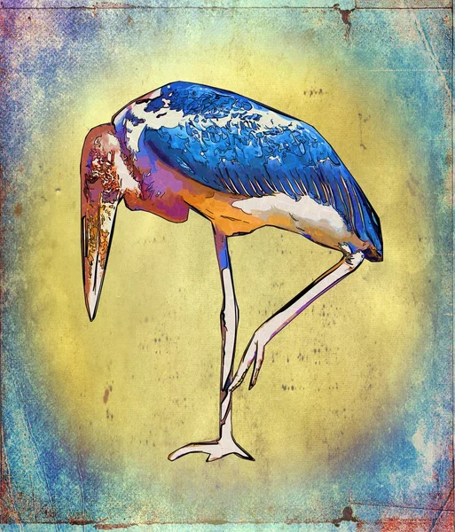Pelicano vintage arte ilustração — Fotografia de Stock