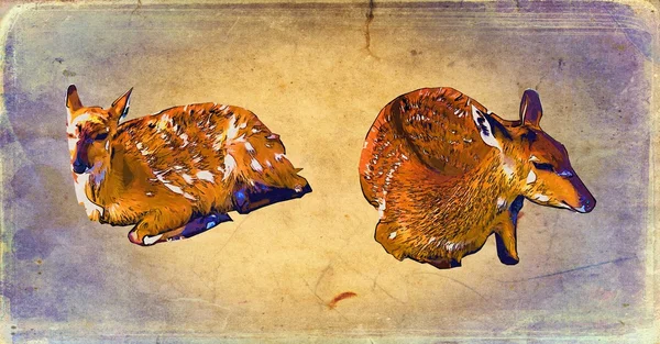 Винтажная художественная иллюстрация оленей — стоковое фото