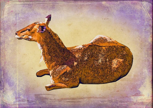 Deer vintage art illustration — Stock Photo, Image