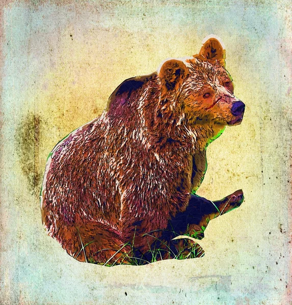 Urso vintage arte ilustração — Fotografia de Stock