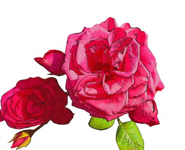 Çiçek illüstrasyon izole makro stili