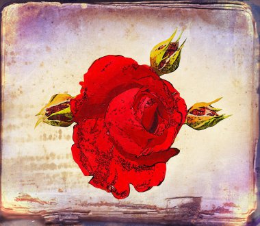 Sanat illüstrasyonu çiçekli klasik arkaplan