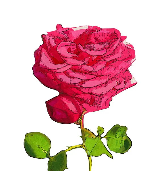 Flower illustration macro style isolated — Stock Photo, Image