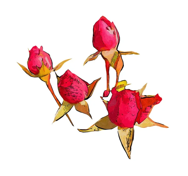 Virág illusztráció makró stílus elszigetelt — Stock Fotó