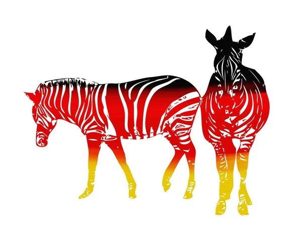 Zebra zászló a elszigetelt fehér háttér — Stock Fotó
