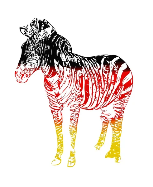 Zebra Flaga na białym tle na białym tle — Zdjęcie stockowe