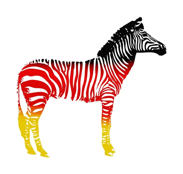 Zebra flagga isolerade på vit bakgrund — Stockfoto