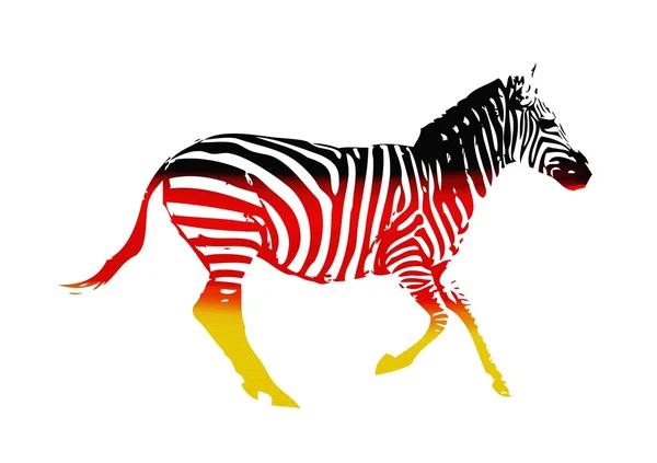 Bandeira de zebra isolada no fundo branco — Fotografia de Stock
