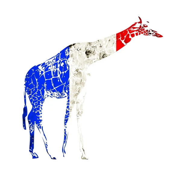 Bandiera giraffa isolata su sfondo bianco — Foto Stock